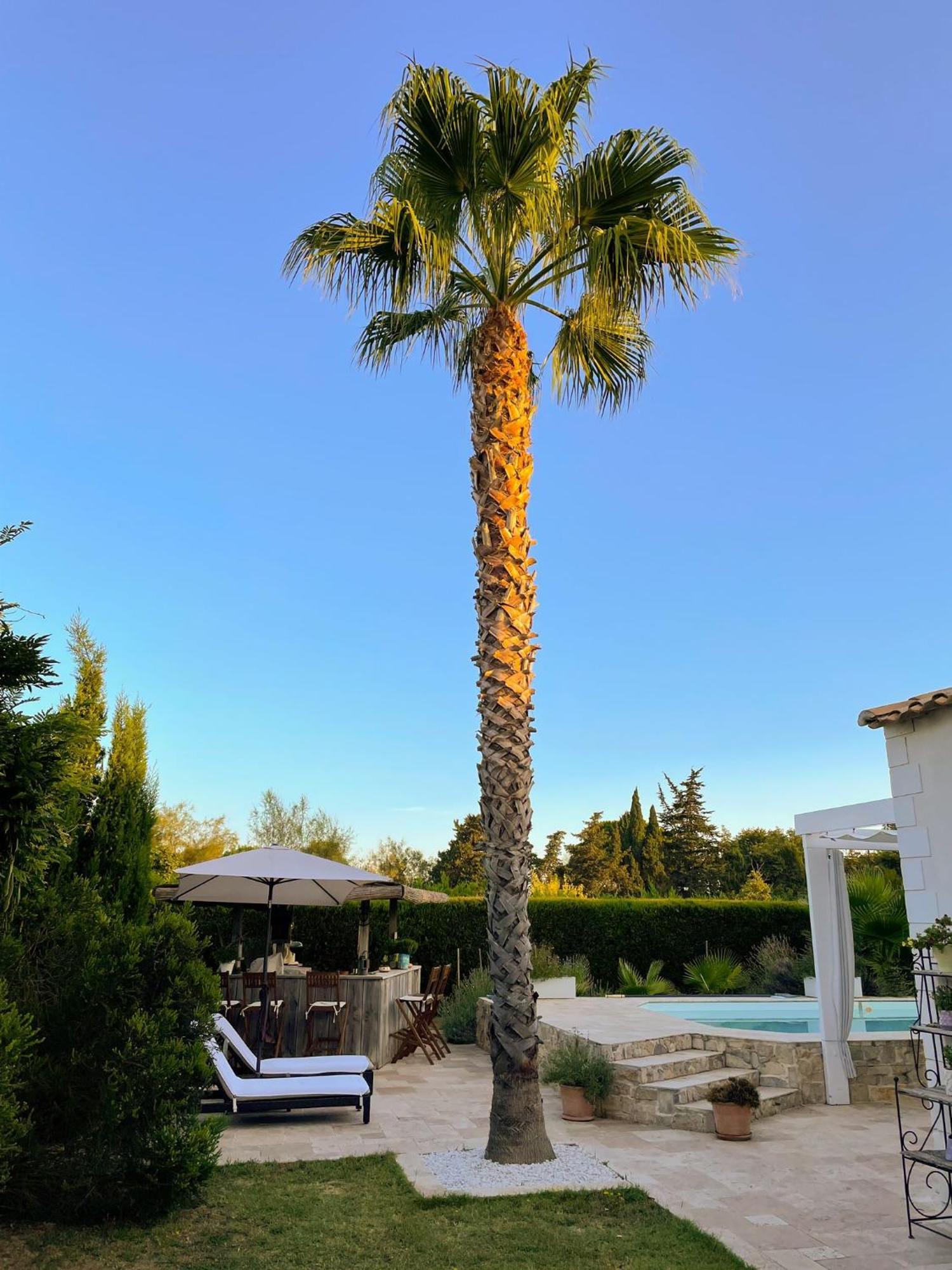 Aigues Marines Bed & Breakfast Exterior photo